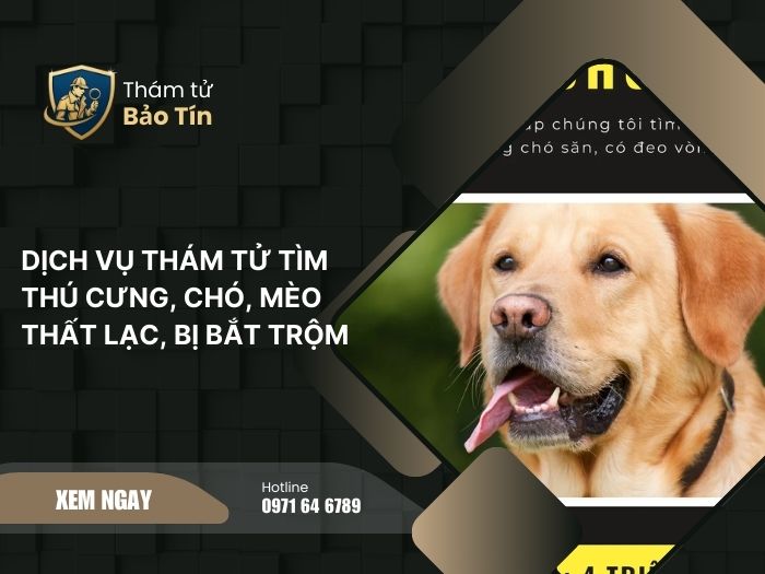 dịch vụ thám tử tìm thú cưng